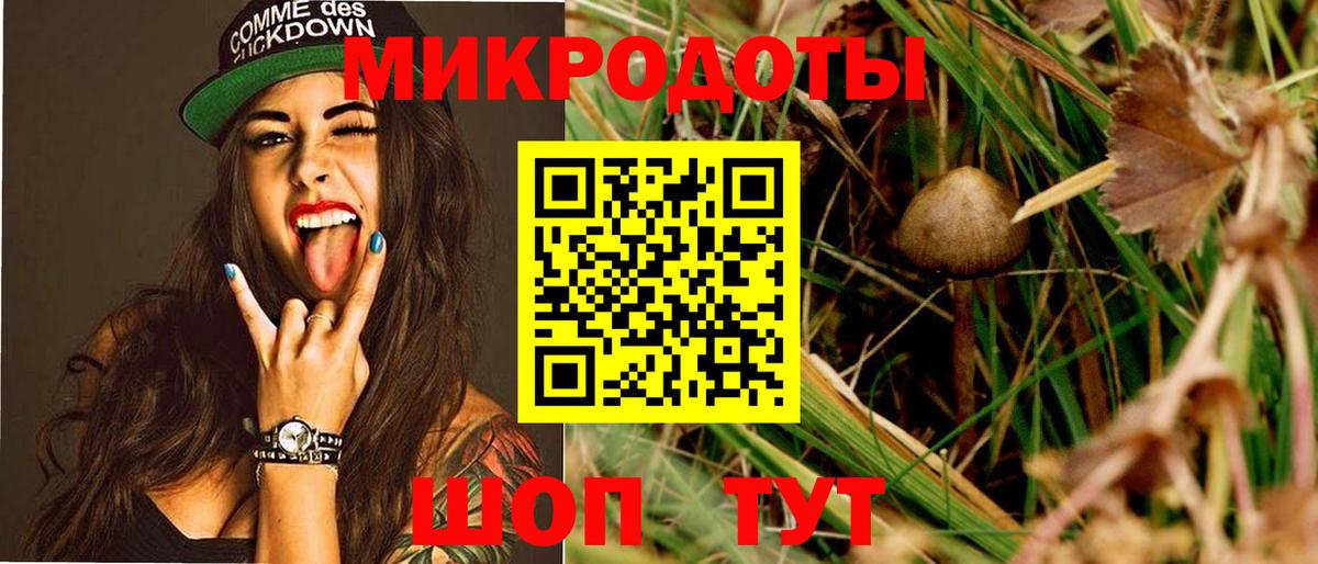 Псилоцибиновые грибы Psilocybine cubensis Сосновоборск